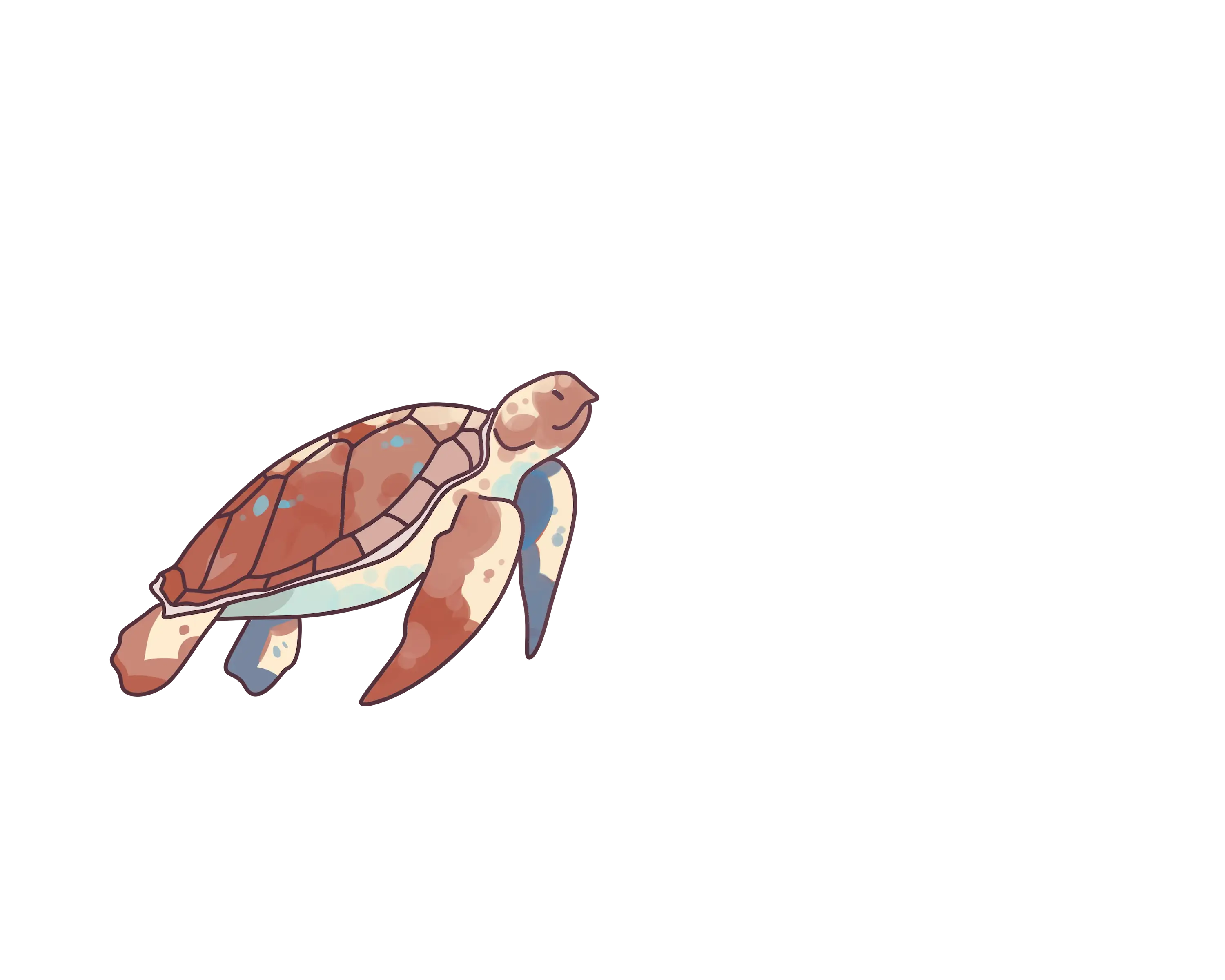 turtle.webp